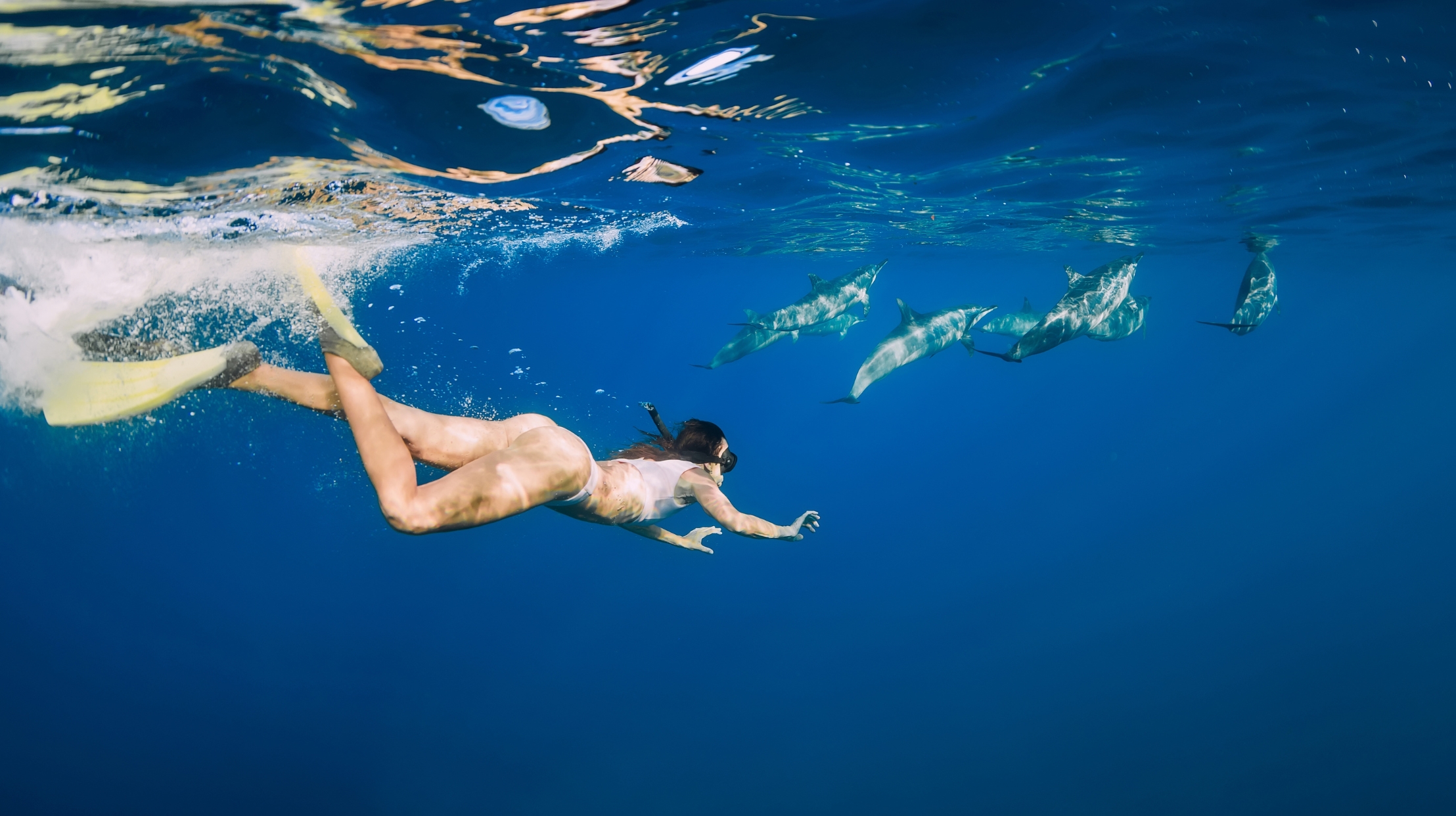 Scuba diving in Mauritius to observe dolphins, an unforgettable experience offered by MJ Holidays during the holidays.