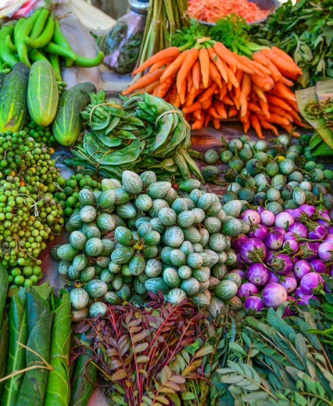 Des légumes frais et colorés cultivés à l’île Maurice, représentant la richesse agricole et les produits authentiques valorisés par MJ Holidays.