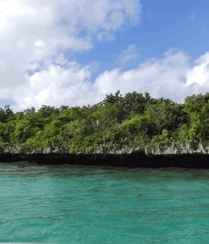 Janvier sur l'île Maurice