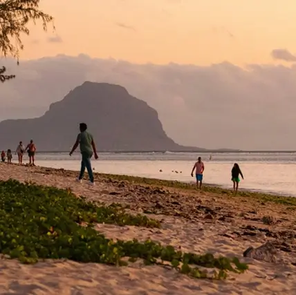 Des voyageurs découvrent l’île Maurice en décembre avec MJ Holidays, profitant d’un moment de détente au cœur de la nature tropicale.