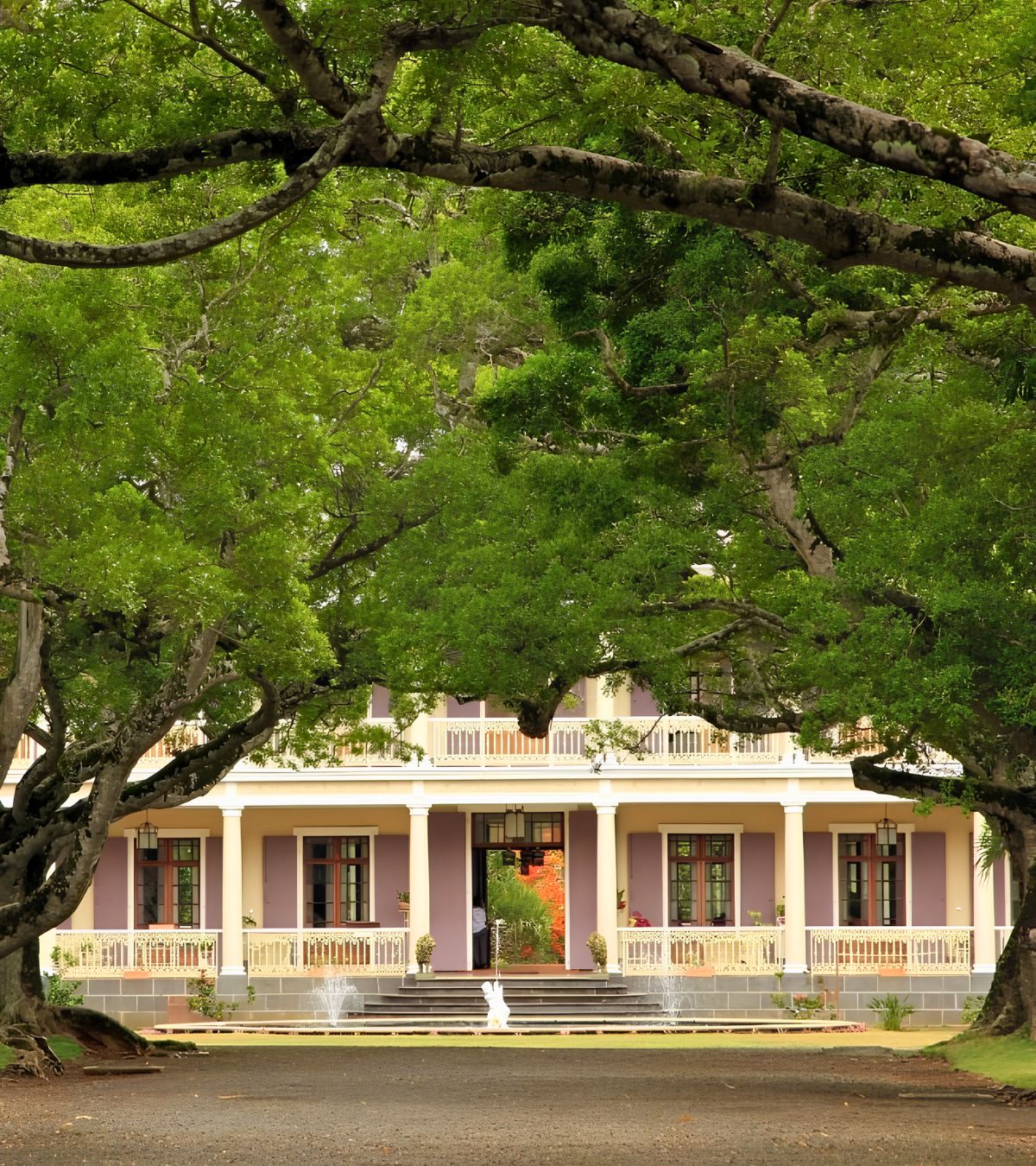 Walk to the Domaine du Labourdonnais in Mauritius with MJ Holidays, between nature and Mauritian heritage.
