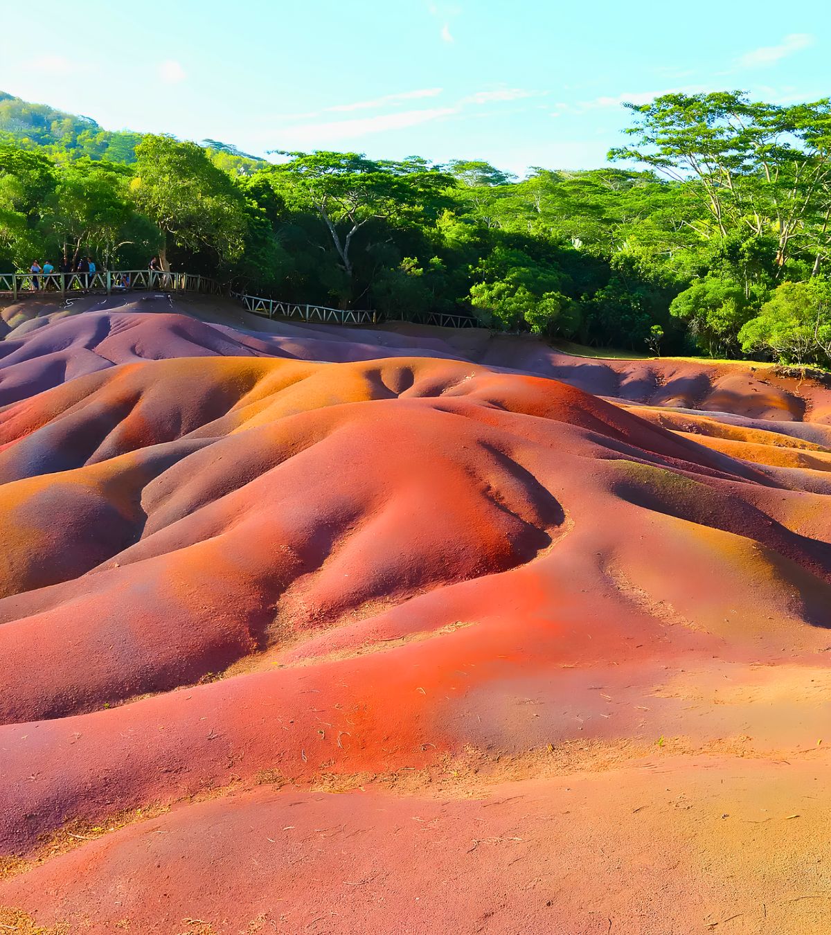 Landscape of Terres de Chamarel with seven colors, an emblematic site discovered with MJ Holidays in Mauritius.