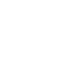 plate icon