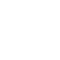 plate icon