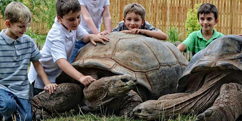 reptile gardens