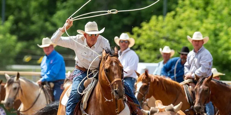 cowboy in rodeo