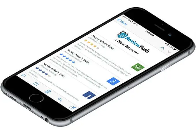 ReviewPush Demo - Reviews Feed