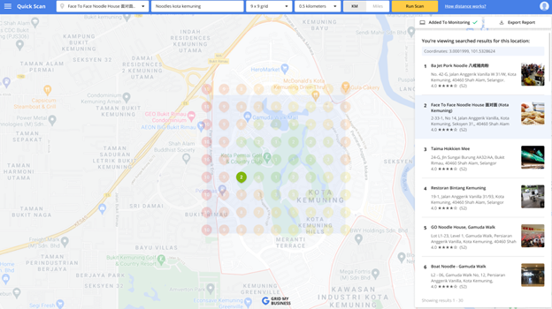 Grid My Business Demo - Top 20 SERP