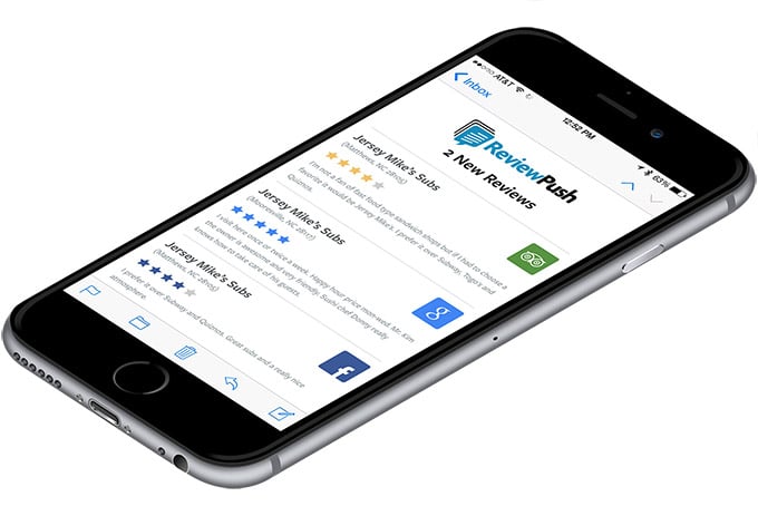 ReviewPush Demo - Reviews Feed