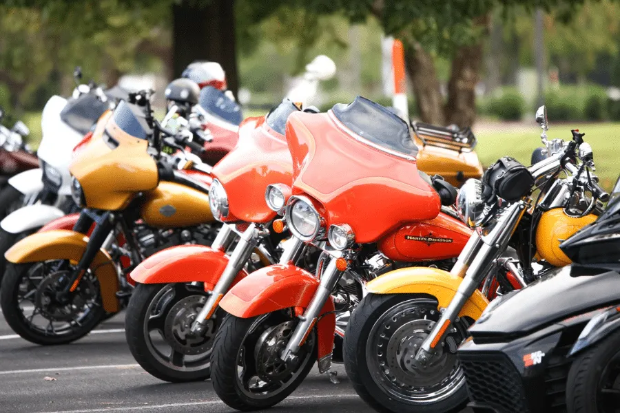 image of kids' bikes for a bicycle shop