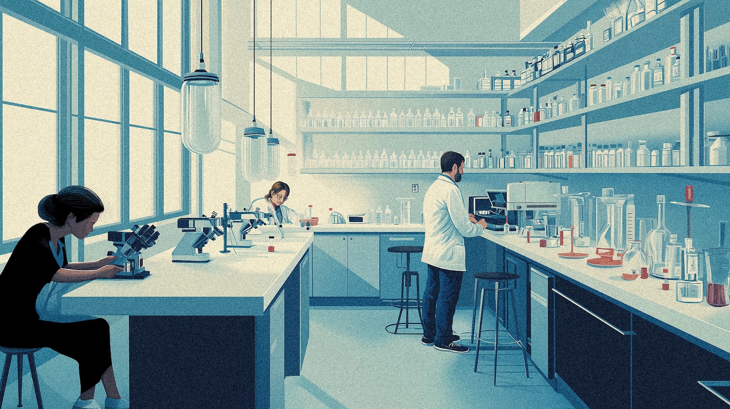 South Burlington Economic Development Strategy