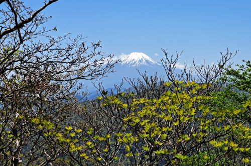 Vue Fuji sur mont ooyama