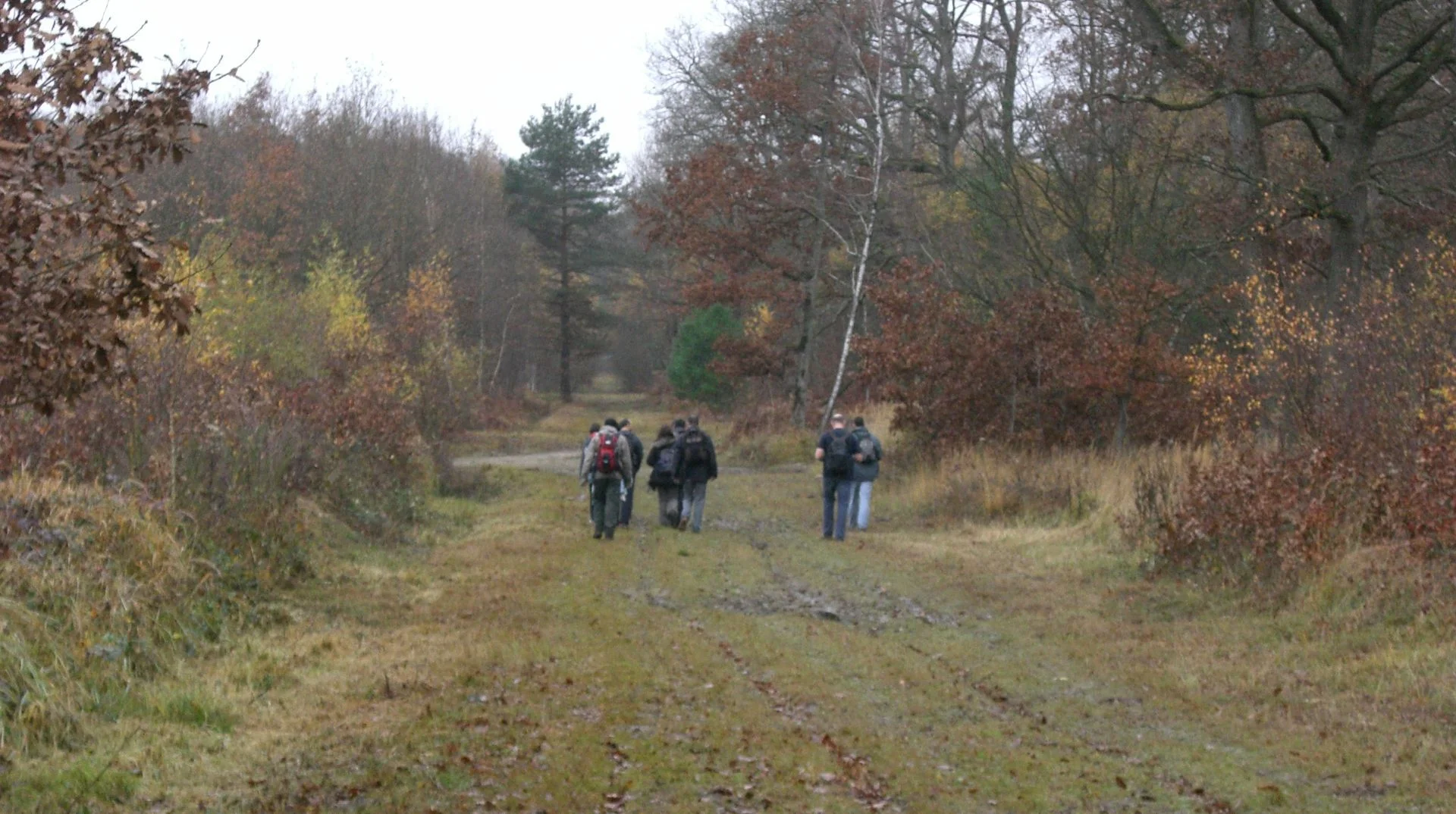 Rambouillet forest on the GR1