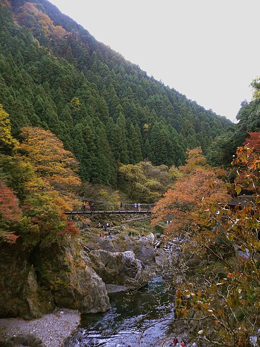 Le pont suspendu d'Hatonosu en automne