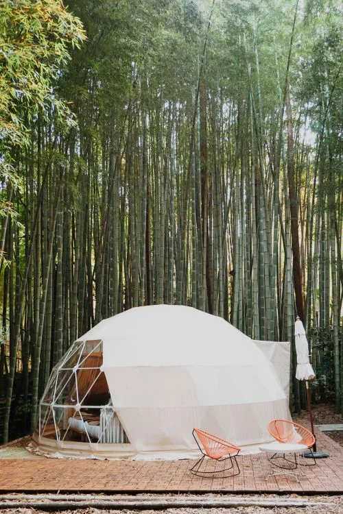 Tente moderne possédant tout l'quipement nécessaire, devant une forêt de bambous