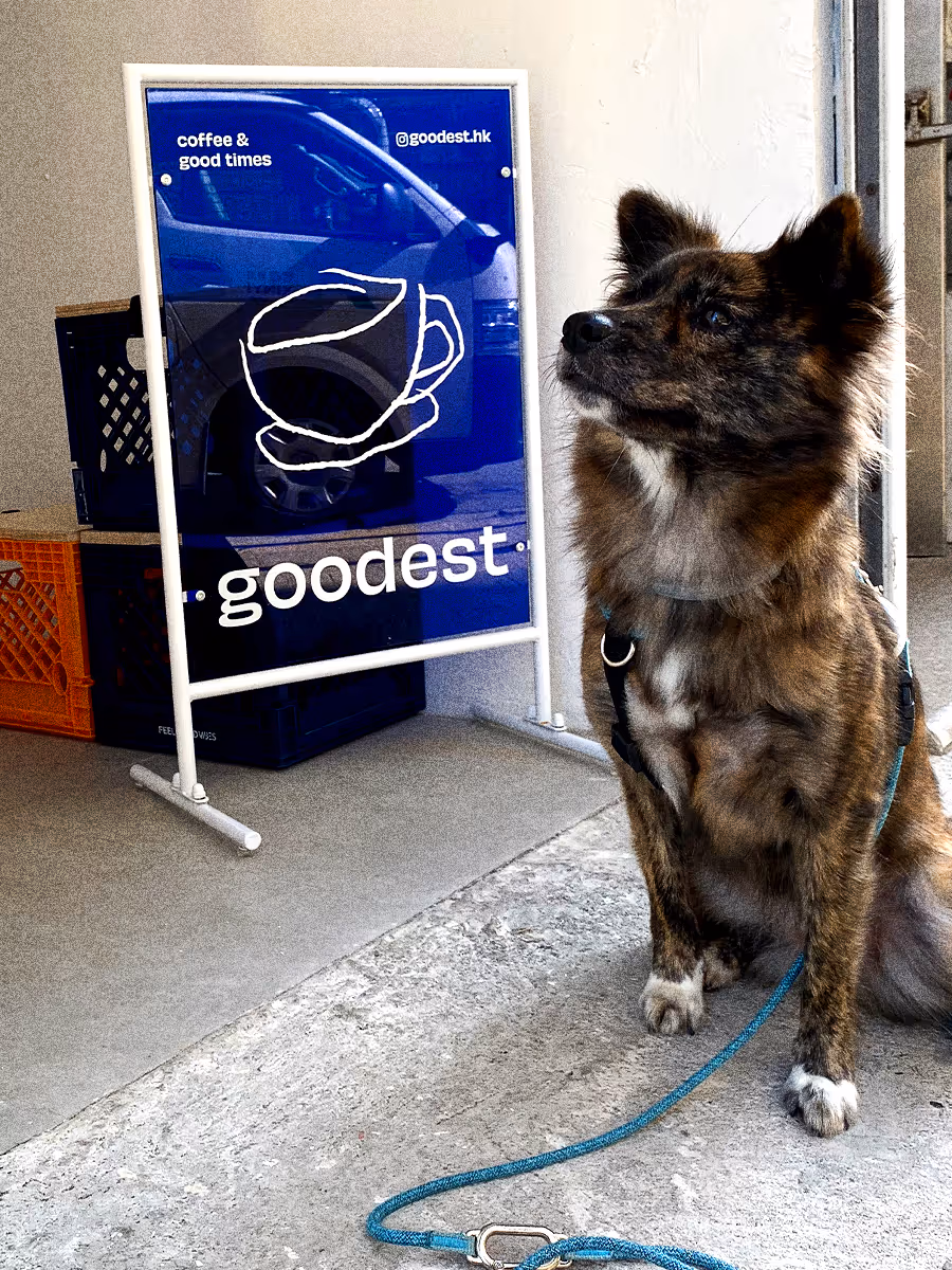 goodest brand identity – playful, dog-inspired design for a community coffee shop