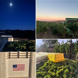 September Newsletter