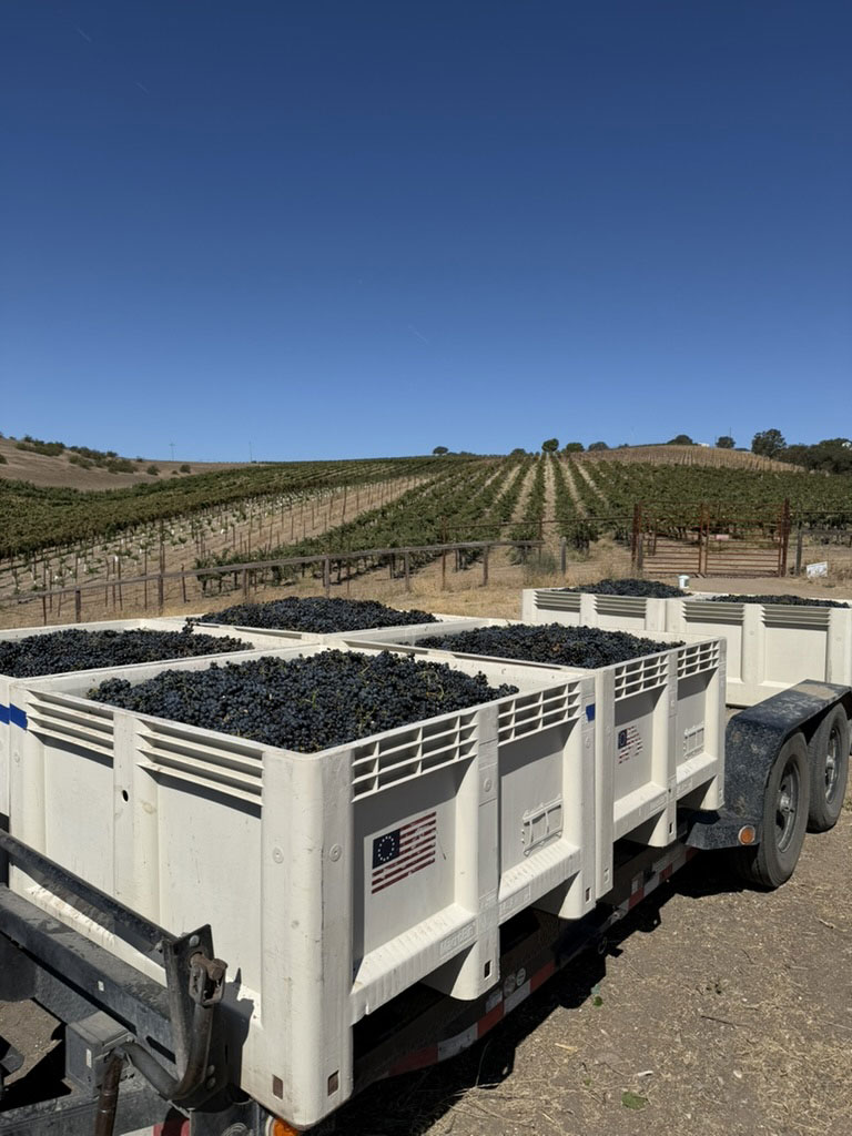 September 2026 Newsletter