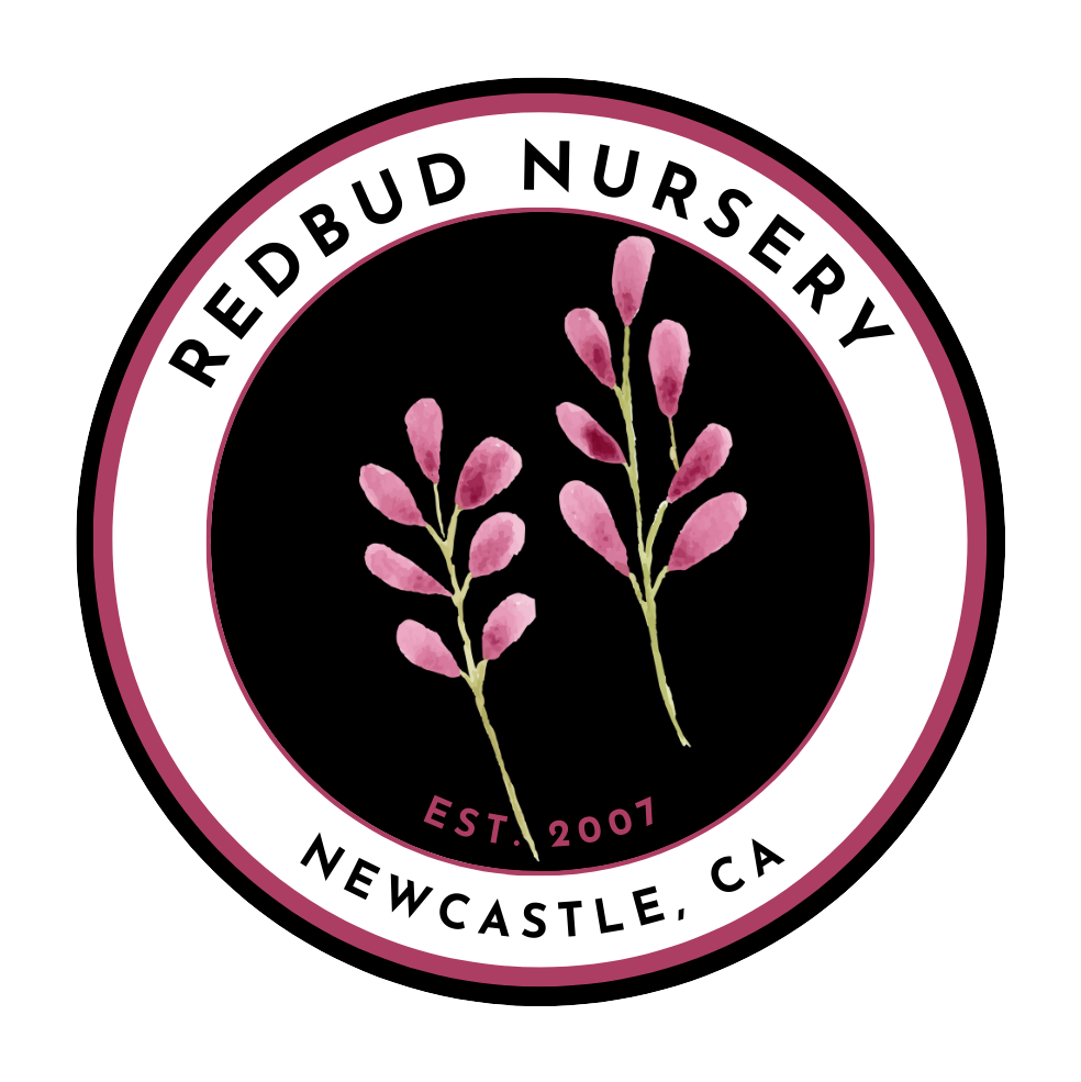 Redbud Nursery Logo