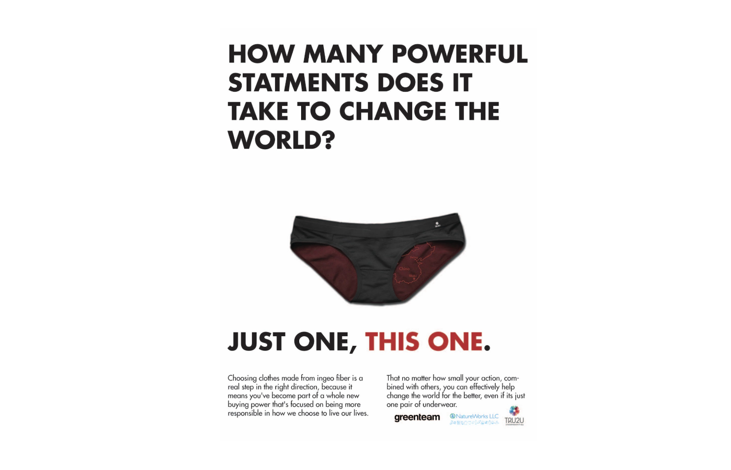 Photo of underwear with the text "How many powerful statements does it take to change the world?  Just one, this one."