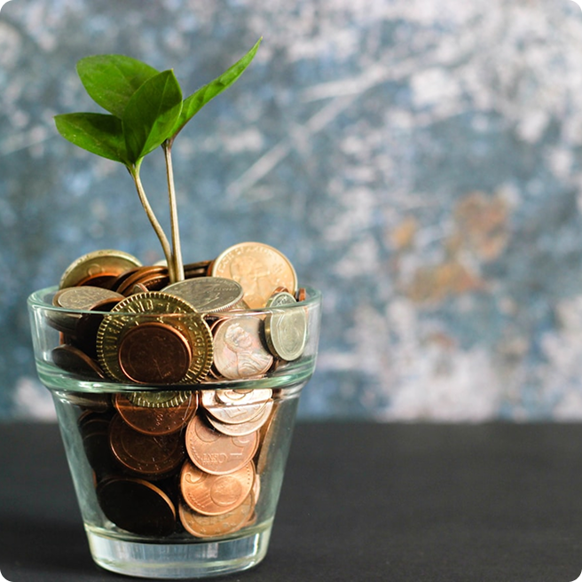 Plant in a pot of coins representing financial growth