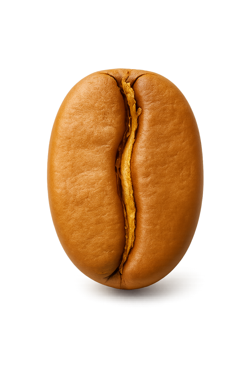 Roast Bean