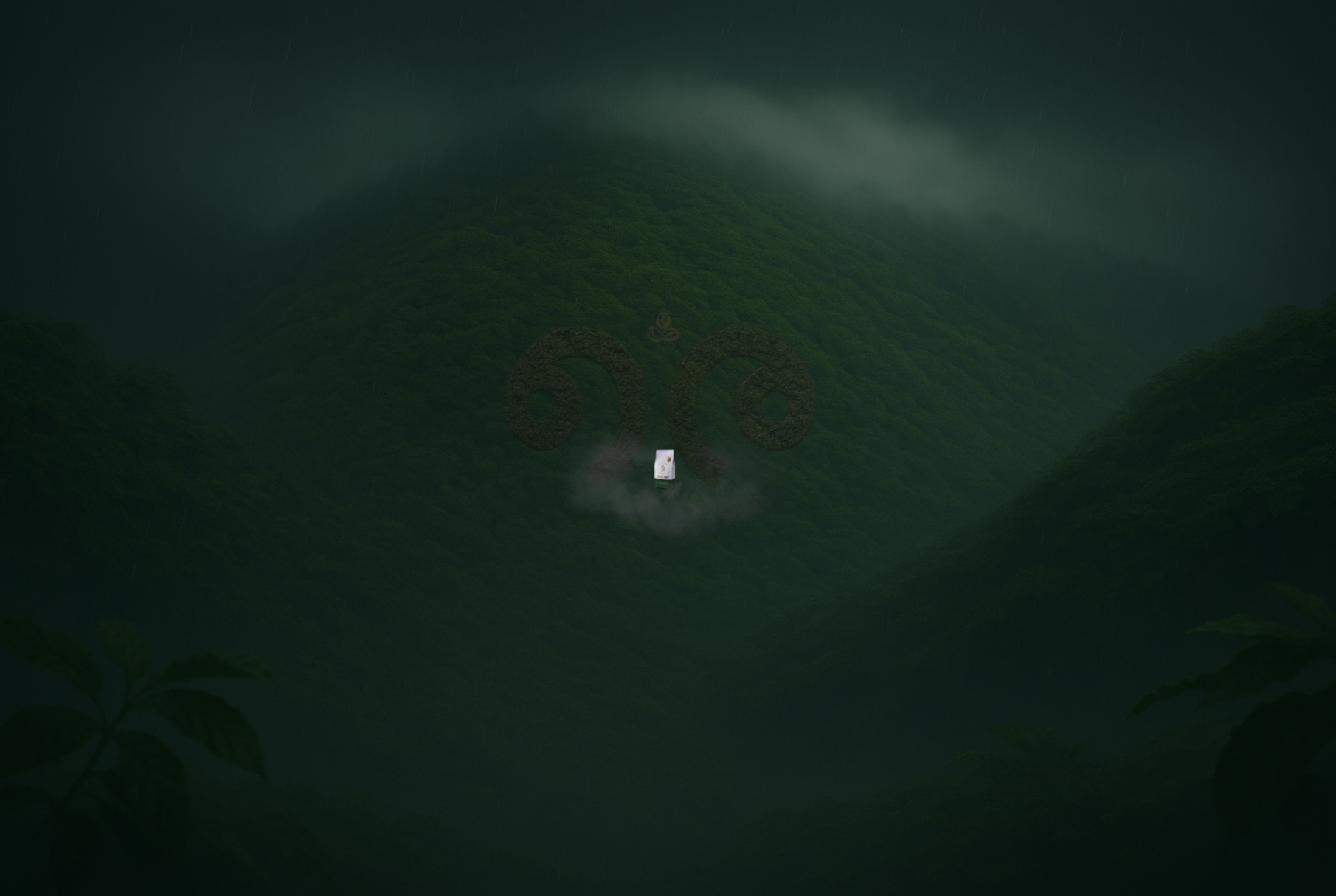 Aerial forest