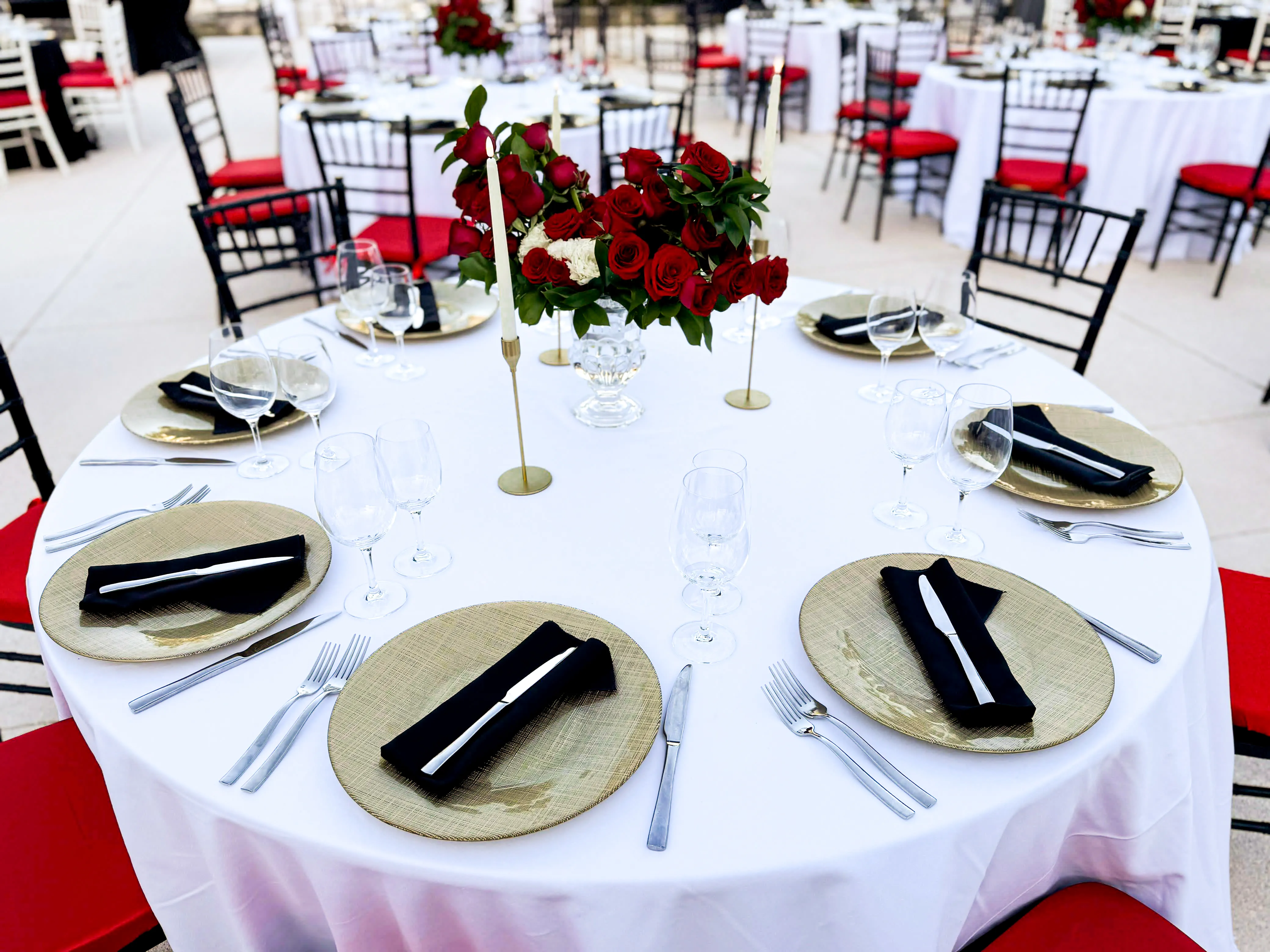Renew Royale Gala