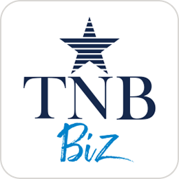 TNB Biz Icon