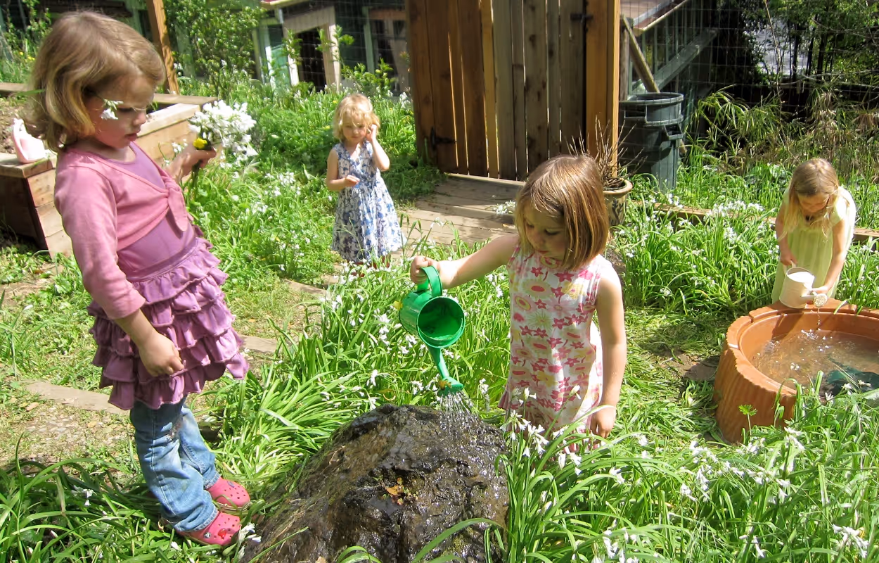 Preschoolers watering and exploring the garden with curiosity.