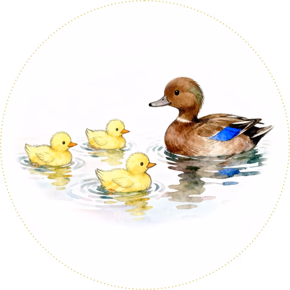 Illustration of a mother duck leading three ducklings, symbolizing learning through imitation and presence.