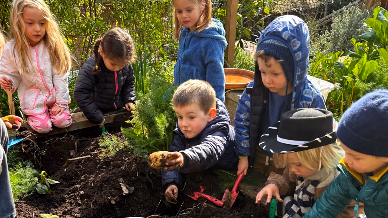 Group of young children outdoors digging in soil, one boy holding a freshly harvested potato.
