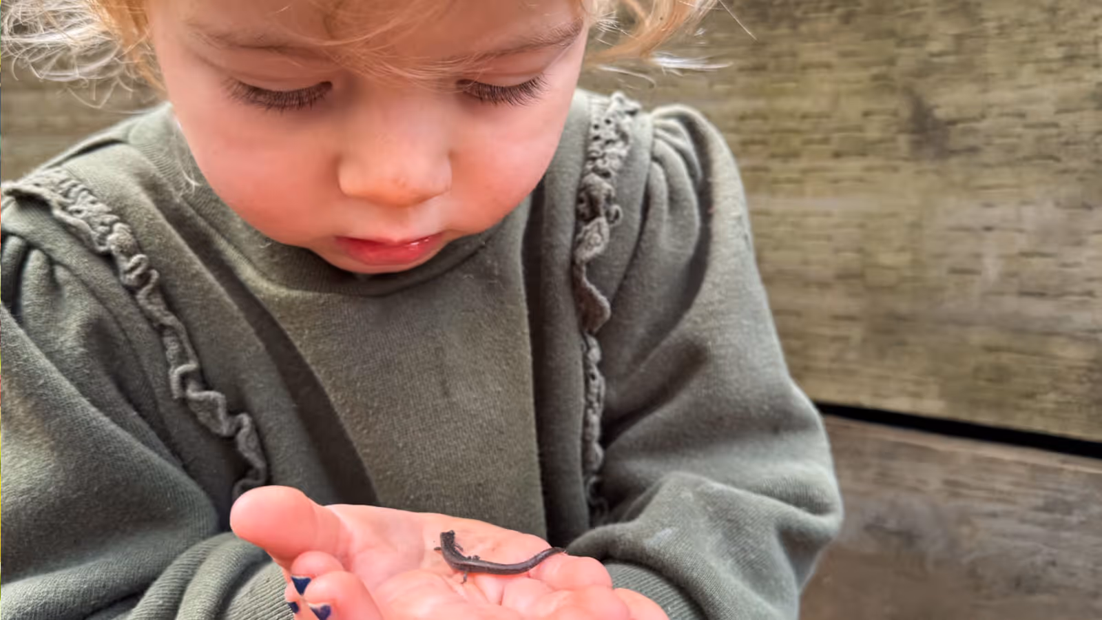 Close-up of a young child in a green sweater gently holding a small newt in their hand while looking down.