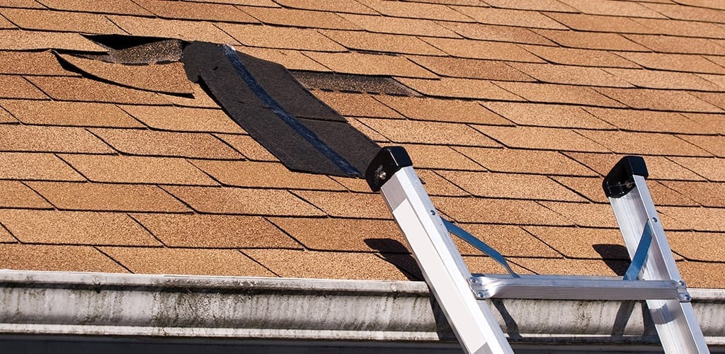 Roof Inspection