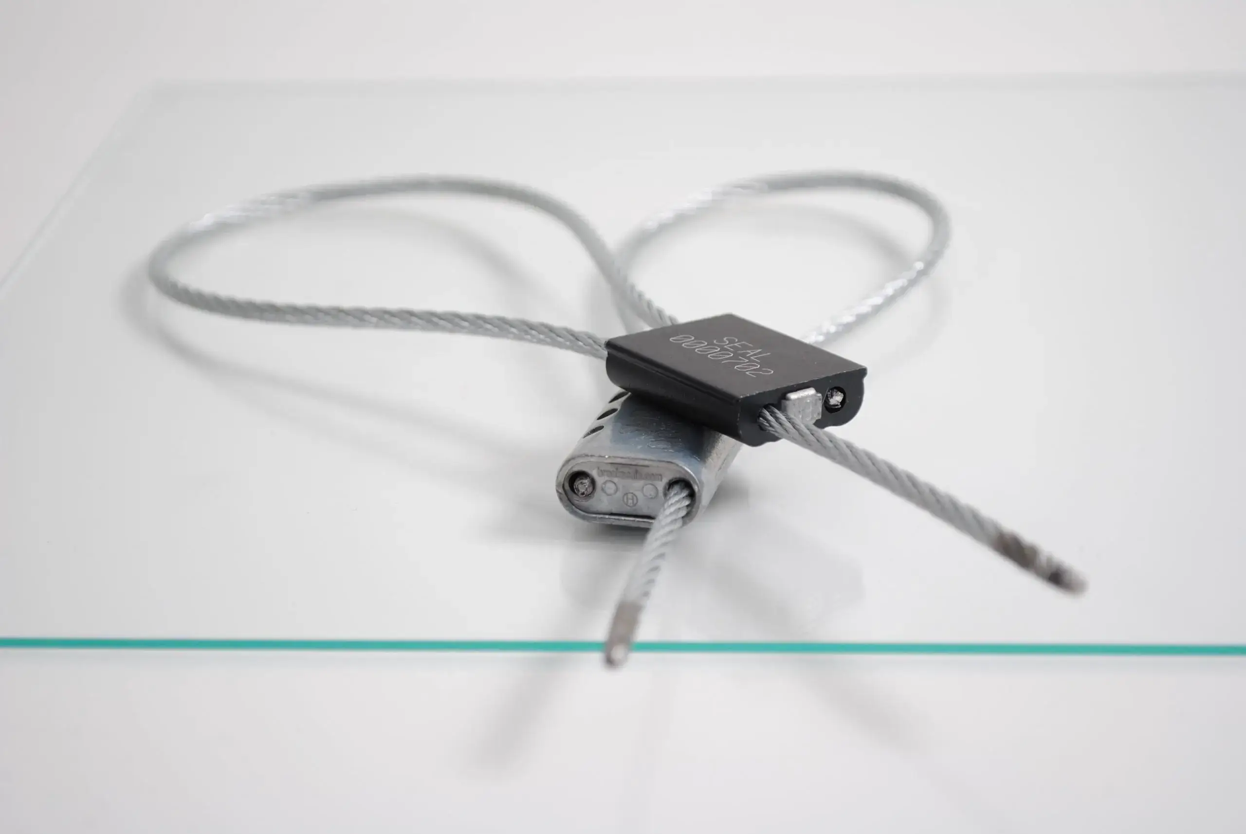 Câbles de scellage : prioriser la conformité pour le maintien de votre C-TPAT