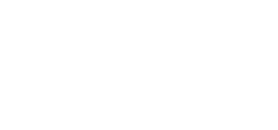 Böhringer Group
