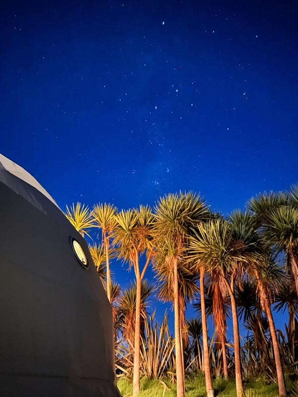 The image shows a clear night sky filled with stars above a row of tall, silhouetted palm trees. A dome structure is partially visible on the left.