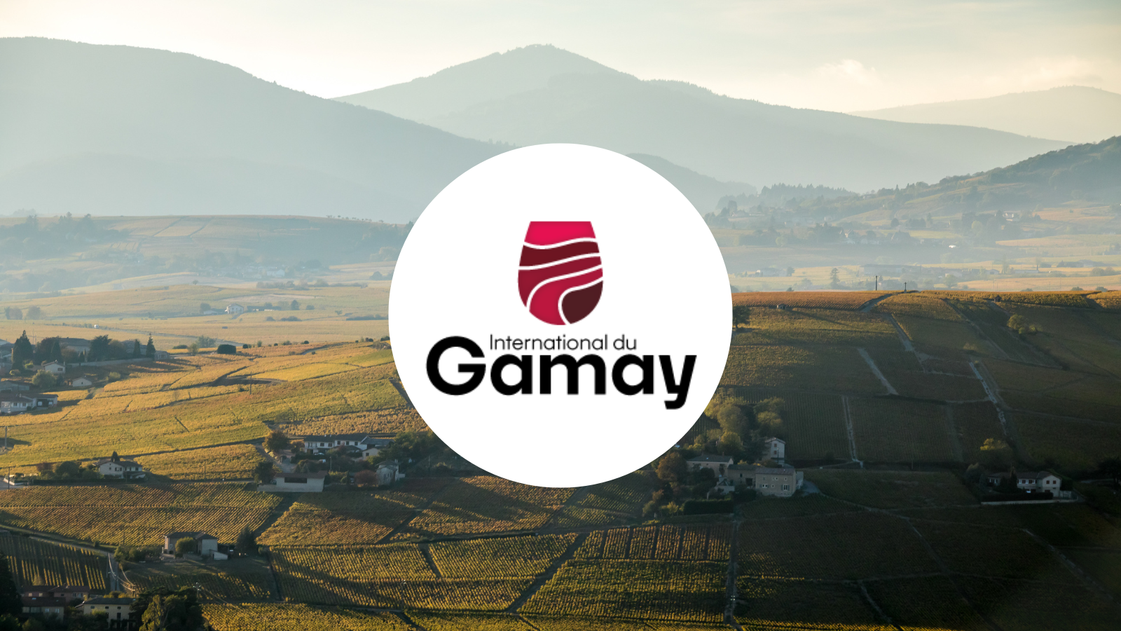Le Beaujolais à l’honneur : un Morgon élu Meilleur Gamay du monde 2026