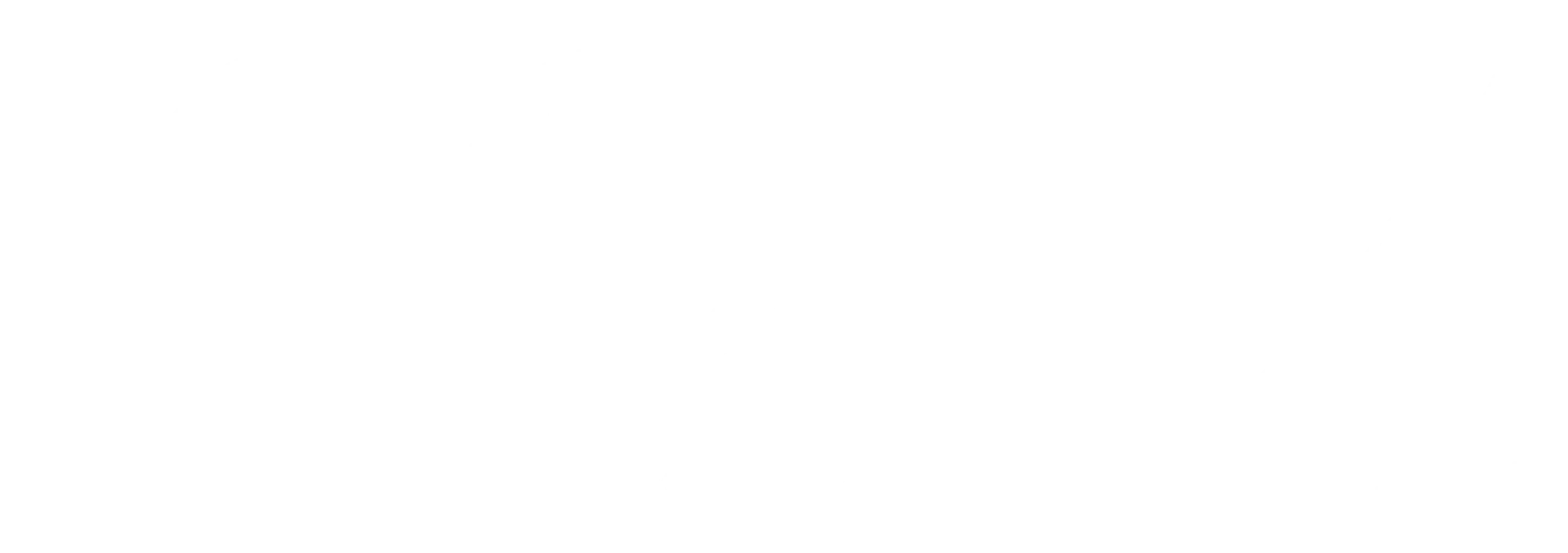 ICONIX logo with the tagline 'Luxury in the details' in white text on black background.