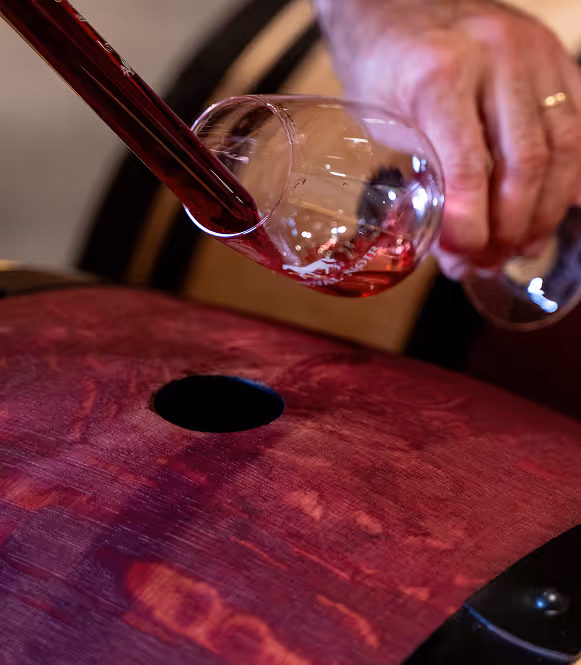 Vin versé dans un verre pour une dégustation, illustrant l’excellence et l’art de vivre signés Mähler-Besse.