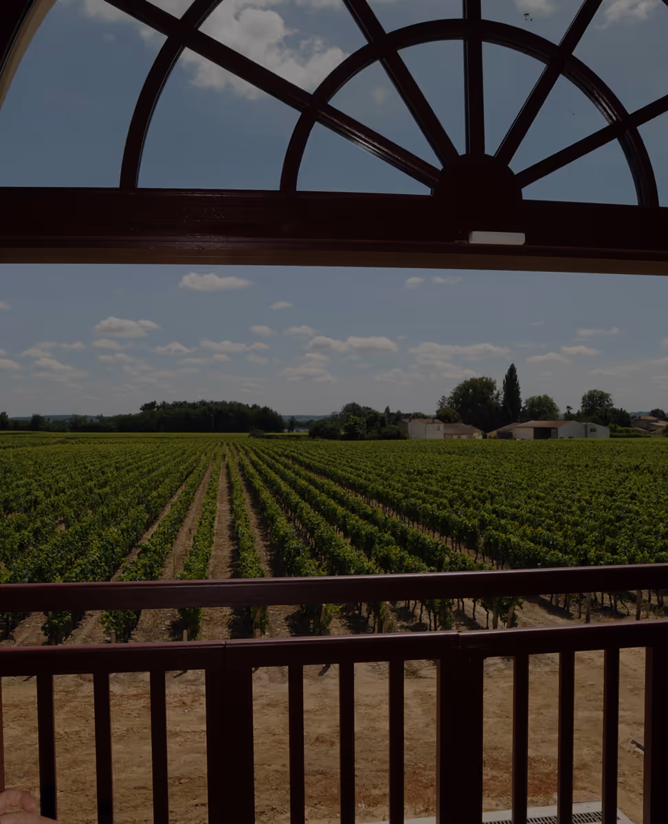 Vue d'une exploitation de vins - négoce Mähler-Besse Château Cehval Noir