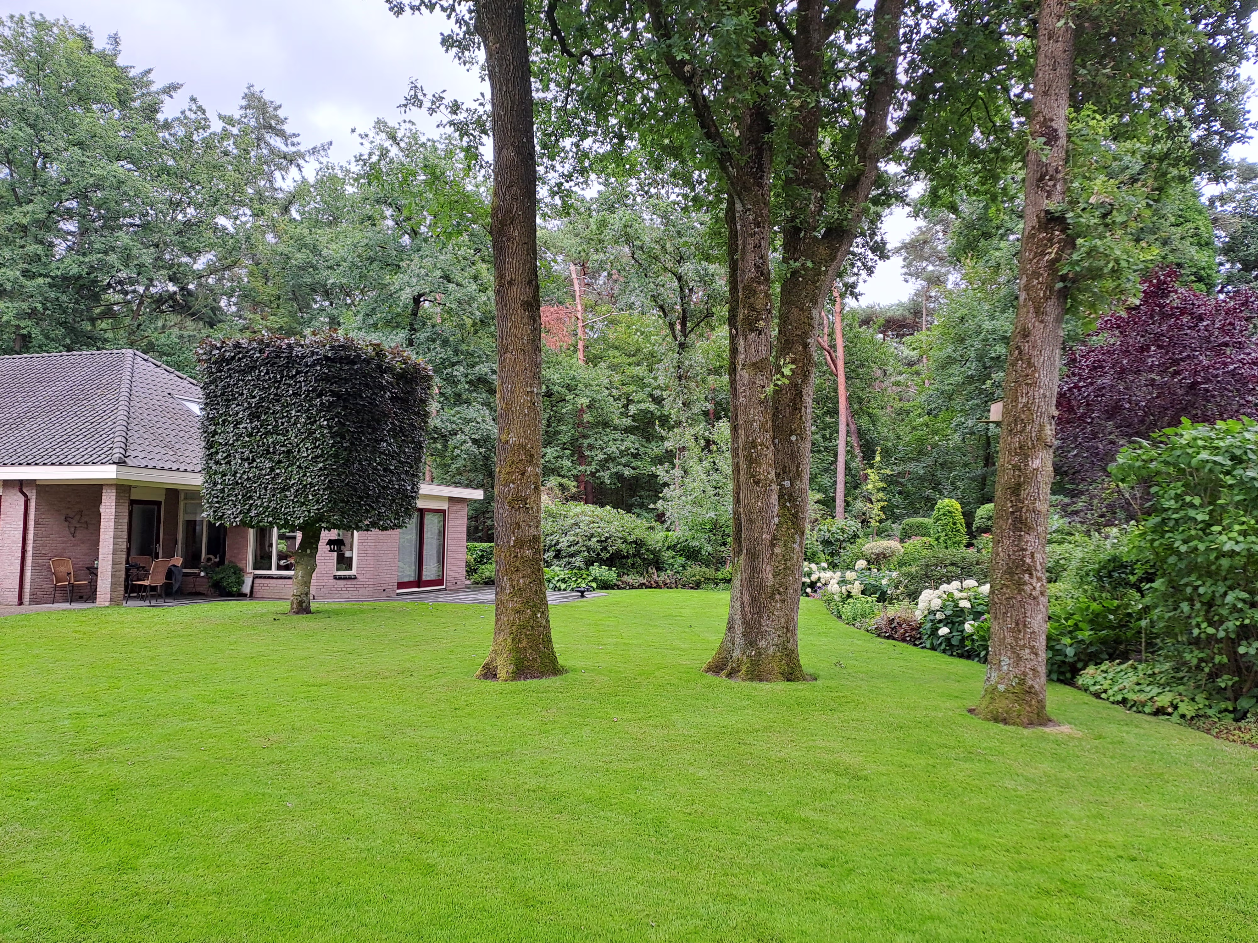 Juweel in putten