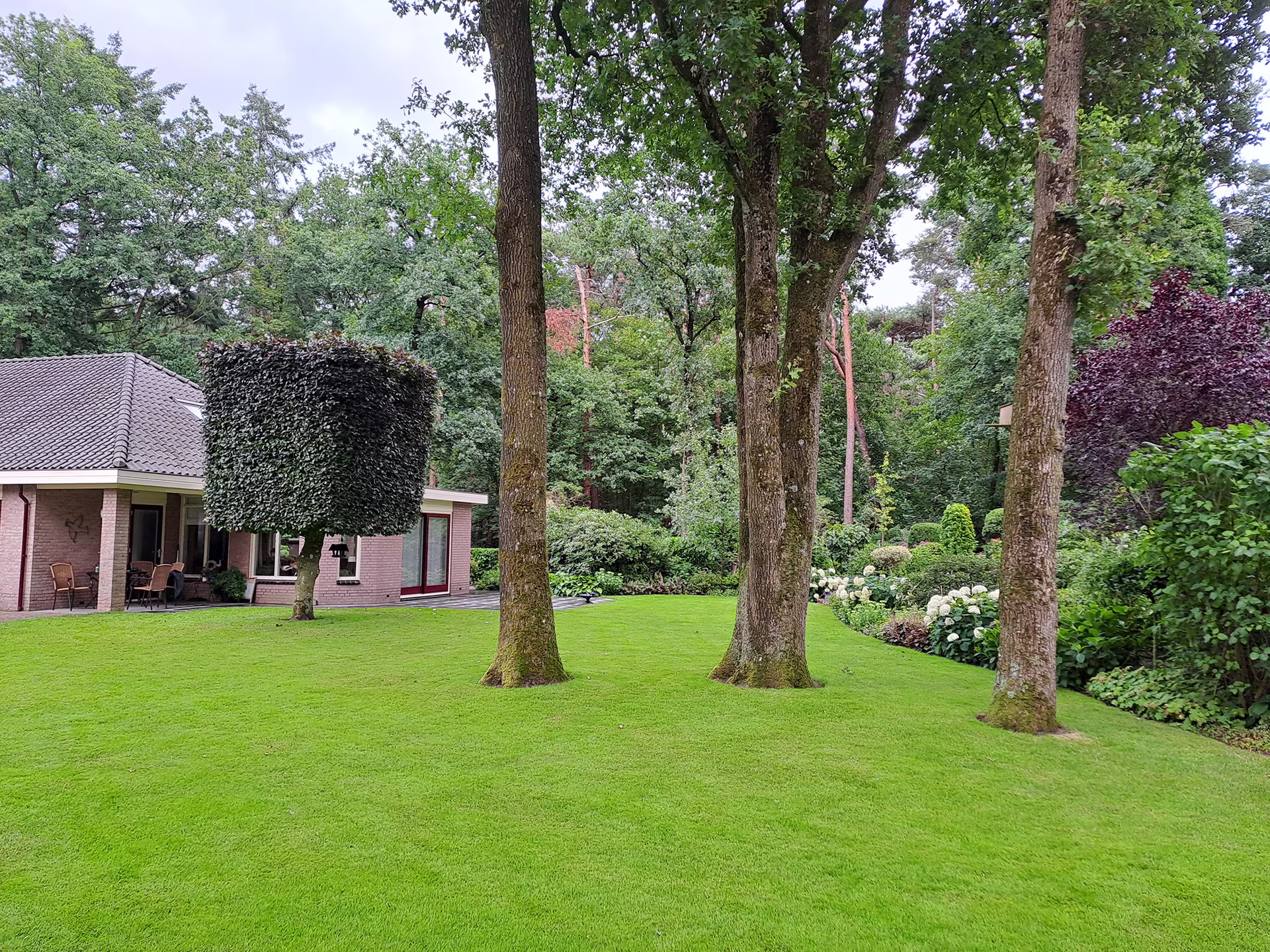 Juweel in putten