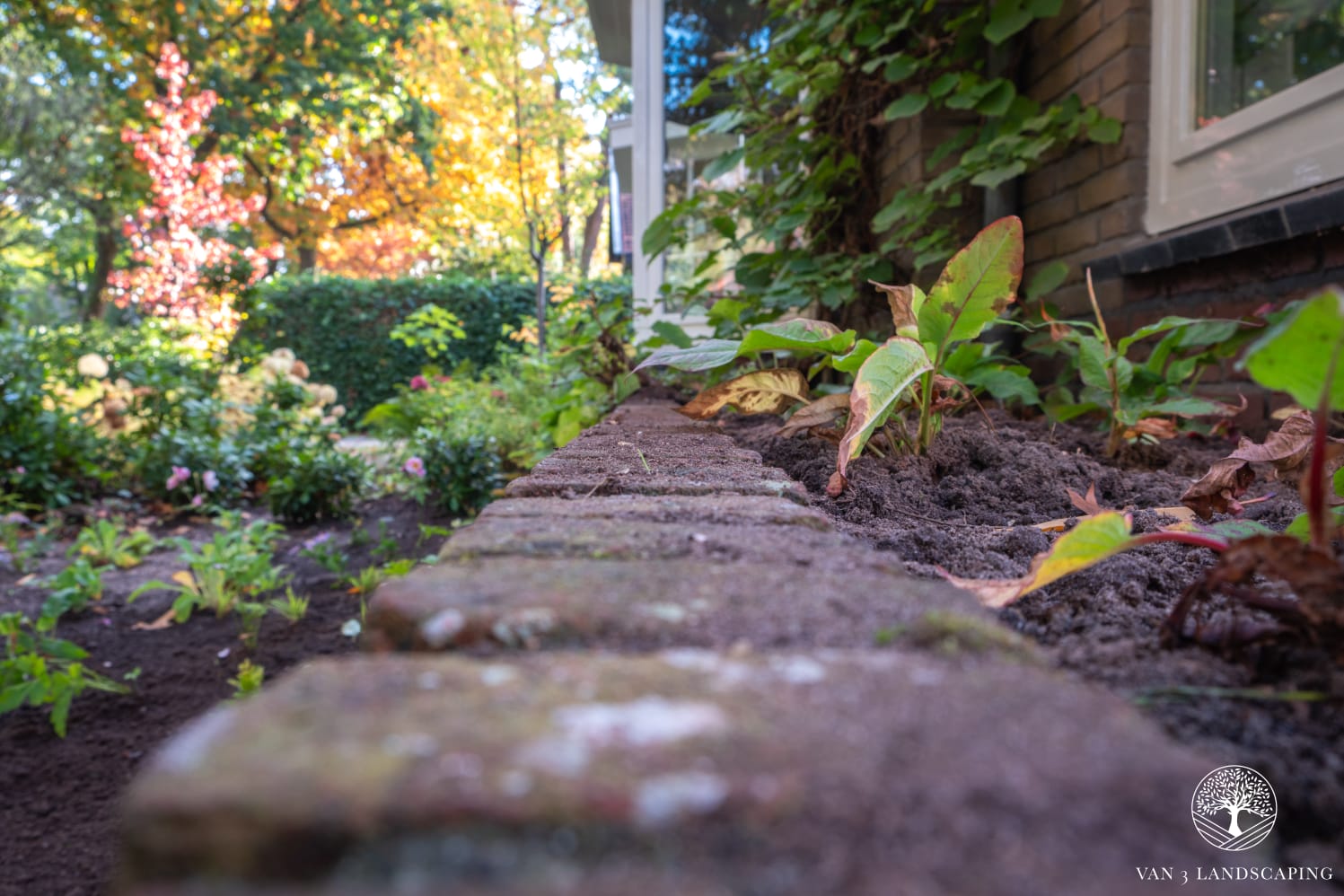 Tuinproject Bilthoven