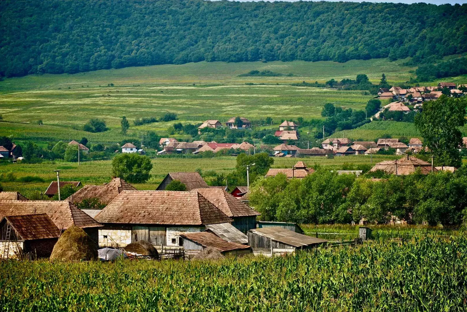 photo point de vue d'un village en cote d'or dans les vigne