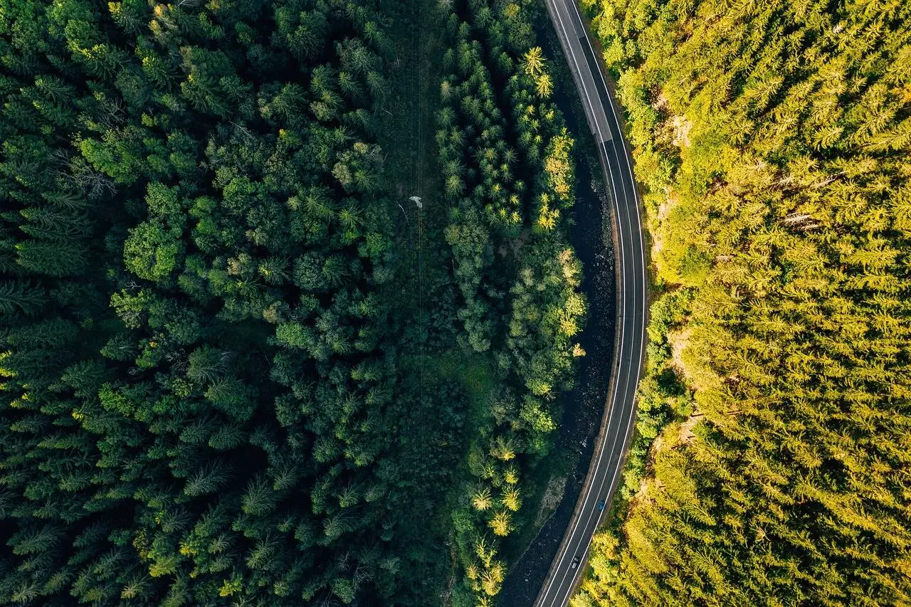 vue aérienne d'une foret et une route