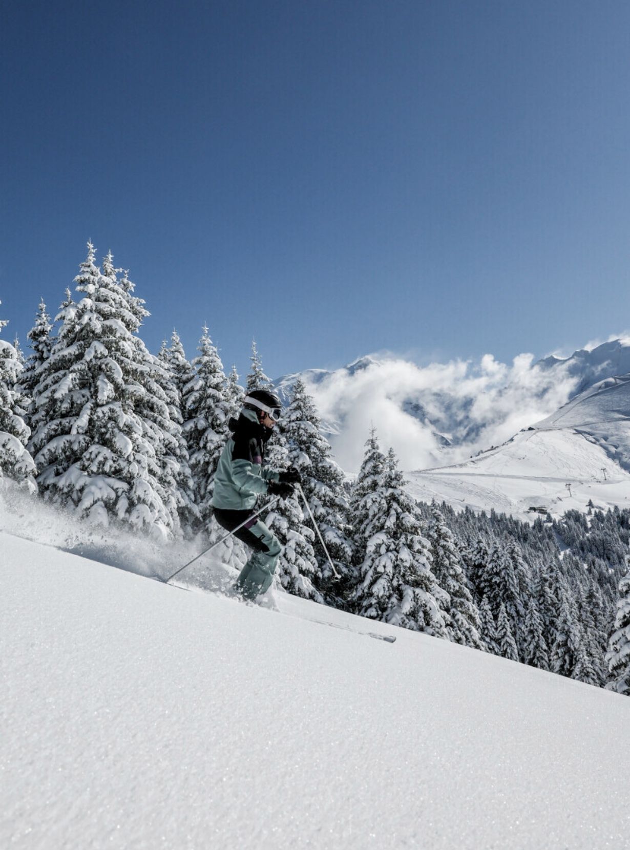Ski vacation or vacation with family or friends in the Alps