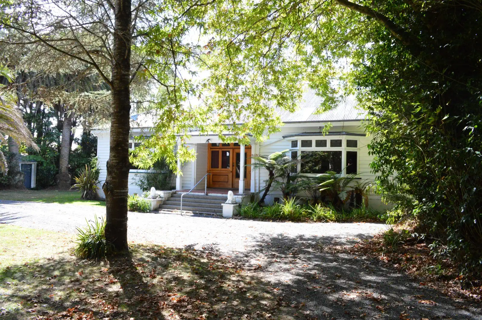 MacArthur Street Heritage Project