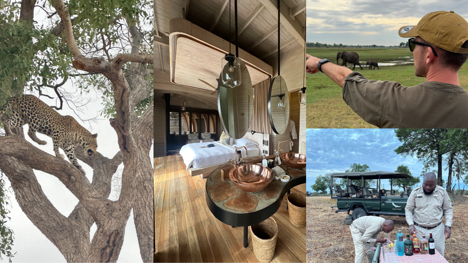 Safari scenes, sundowner rituals, and wild elegance