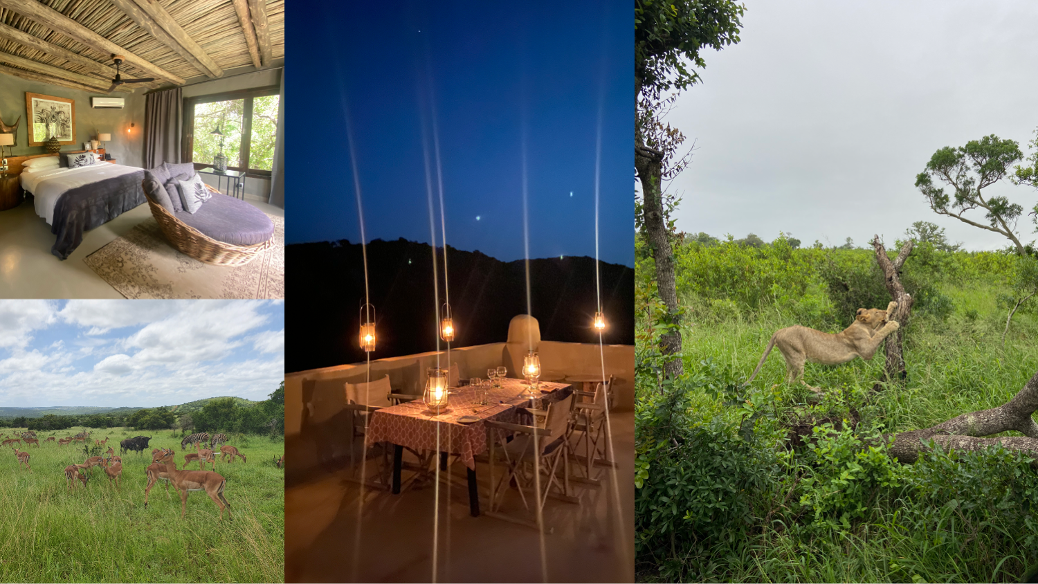 Wildlife sightings and dinner under the stars while on safari